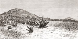Güneş Piramidi, Teotihuacan, Meksika by Spanish School